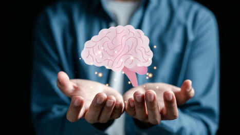 FOOD: Harvard study: olive oil could boost your brain health | ALIMENTATIONS | Scoop.it