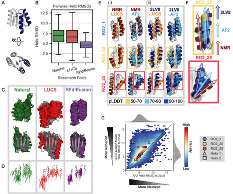 An improved model for prediction of de novo designed proteins with diverse geometries | Brvbi | RMH | Scoop.it