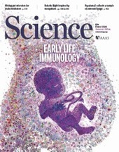 Divergent T follicular helper cell requirement for IgA and IgE production to peanut during allergic sensitization | Science Immunology | Allergy (and clinical immunology) | Scoop.it