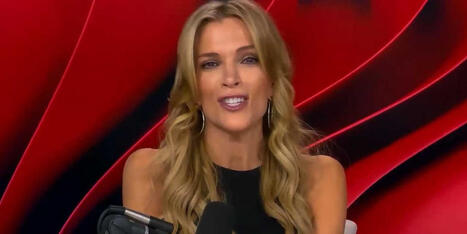 Megyn Kelly suggests Epstein wasn't an 'actual pedophile' if victims went through puberty - Raw Story | Operation Phobos | Scoop.it