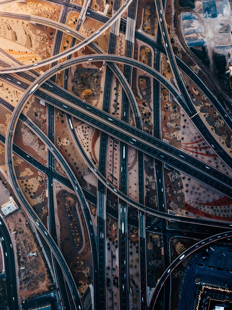 Seven ways AI could restore trust in public services | AI for All | Scoop.it