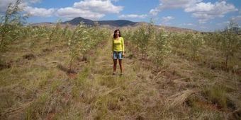Madagascar: "la croisade écolo" d'une planteuse d'arbres | Economie Responsable et Consommation Collaborative | Scoop.it
