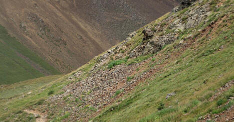 Trail Running : Le Top 10 des Chaussures Incontournables en 2026 | Voyages,Tourisme et Transports... | Scoop.it