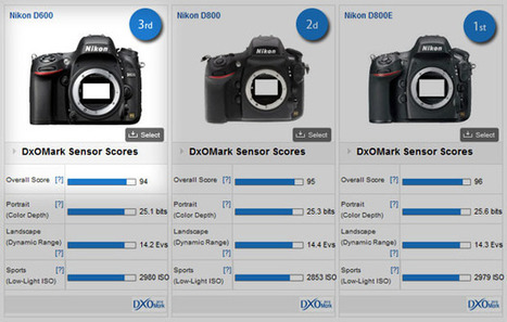 Nikon D600 Sensor Found by DxOMark to be “Elite” and 3rd Best Ever - PetaPixel | Nikon D600 | Scoop.it