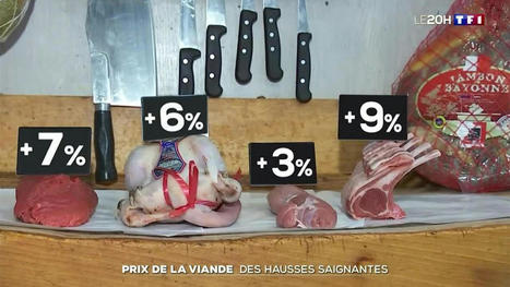 Prix de la viande : des hausses saignantes | Actualité Bétail | Scoop.it