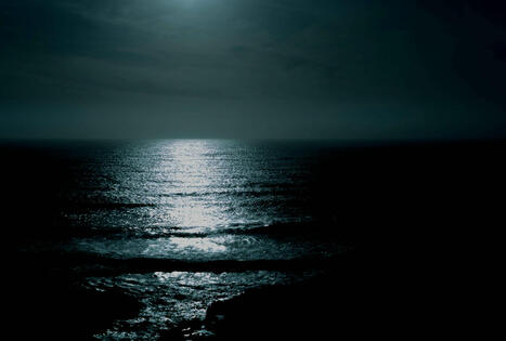ENVIRONMENT: A darkening ocean could have a profound impact on marine life | DURABILITES | Scoop.it