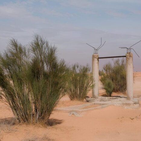 TUNISIE : Une exposition pour ne pas oublier les puits  | CIHEAM Press Review | Scoop.it