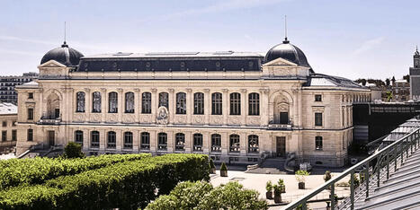 Gestion de crise pour le Muséum national d'Histoire naturelle ciblé par une cyberattaque : la recherche française affectée #Cybersécurité | Risques industriels | Scoop.it