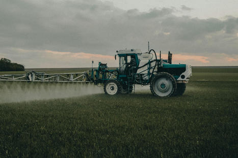 Don't look up : quand le ministre de l'Agriculture enterre un rapport dérangeant sur les pesticides | EntomoNews | Scoop.it