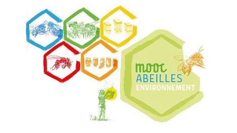 Le MOOC Abeilles et Environnement revient pour une 2e session | Variétés entomologiques | Scoop.it