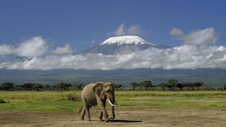 Tanzanie : le téléphérique contesté du Kilimandjaro - le Monde | GREENEYES | Scoop.it