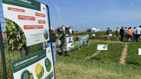 Au Techniday de Neuville-Saint-Vaast, Unéal lance un fonds de développement pour soutenir l’élevage laitier | revue de presse | Scoop.it
