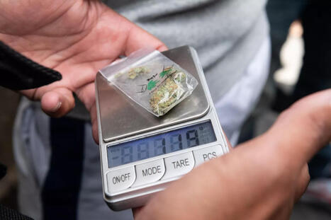 Caract&eacute;ristiques des infractions de trafic ou usage de stup&eacute;fiants selon le type de substance impliqu&eacute;e depuis 2016 : premier &eacute;tat des lieux | Veille juridique du CDG13 | Scoop.it