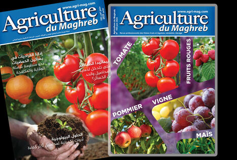 Agriculture du MAGHREB | CIHEAM Press Review | Scoop.it