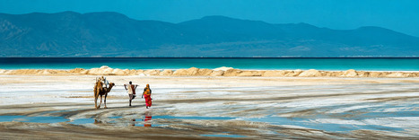 98th AfWASA STC: Djibouti at the Heart of Innovative Solutions for Sanitation and Water Security in Africa | OPT - Eau Pour Tous - Water for All | Scoop.it