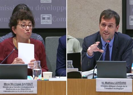 Budget et transition &eacute;cologique : "Il est possible de rediscuter d'un certain nombre de choses", indique Monique Barbut | veille th&eacute;matique | Scoop.it