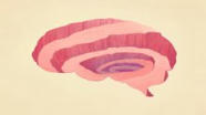 Slower Instruction, Deeper Learning | Education 2.0 & 3.0 | Scoop.it