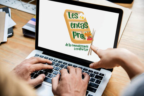 Afest, le dossier d'Emfor BFC - Les encas pro, de la connaissance &agrave; emporter | Formation : Innovations et EdTech | Scoop.it