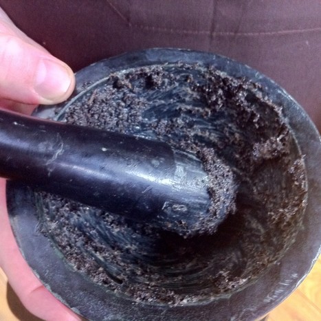 Faut-il manger des insectes? | La Gastronomie | Scoop.it