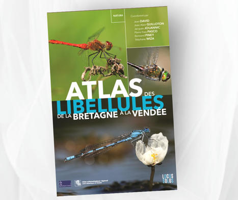 Atlas des libellules  de la Bretagne à la Vendée - Bretagne Vivante | Biodiversité | Scoop.it