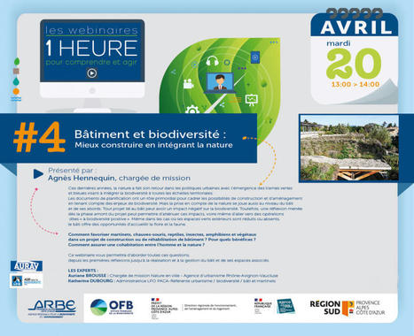 " Bâtiment et biodiversité : mieux construire en intégrant la nature " Webinaire | Biodiversité | Scoop.it