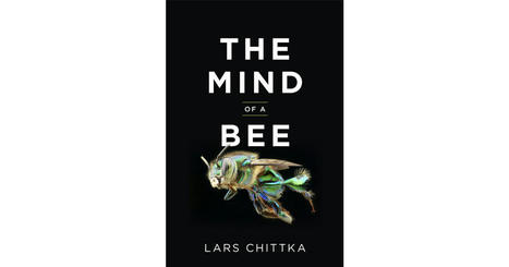 Lars Chittka : "The Mind of a Bee" | EntomoScience | Scoop.it