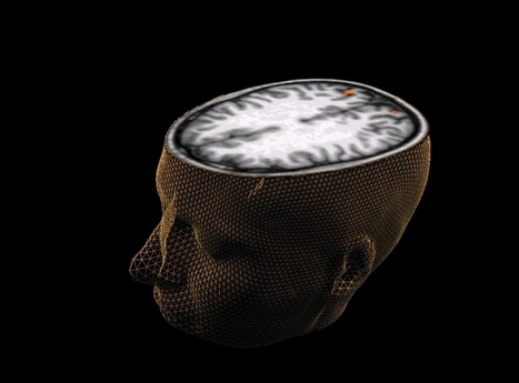 Scientists are Reading Minds by Measuring Brain Activity | Science News | Scoop.it