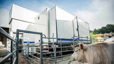 Viande de bœuf : le premier abattoir mobile en service | Actualité Bétail | Scoop.it