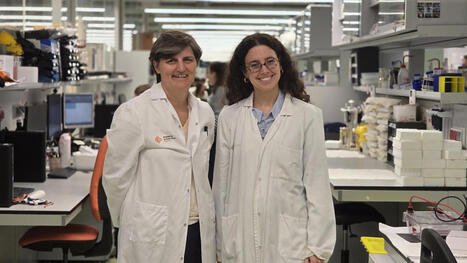 Detectan que alteraciones de Alzheimer aparecen en sangre antes de los s&iacute;ntomas en s&iacute;ndrome de Down | Alzheimer y m&aacute;s (Bolet&iacute;n n&ordm; 98) | Scoop.it