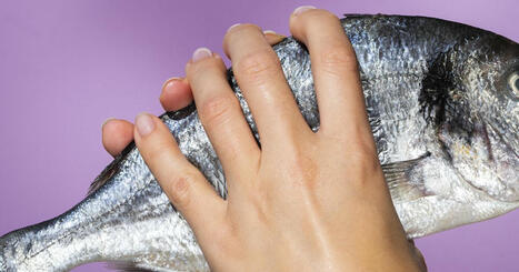 Surconsommation : doit-on arrêter de manger du poisson ? | L'INDUSTRIE DU FUTUR | Scoop.it