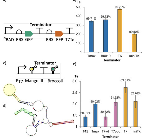 Machine-learning-driven prediction and design of intrinsic transcription terminators | brvai | RMH | Scoop.it