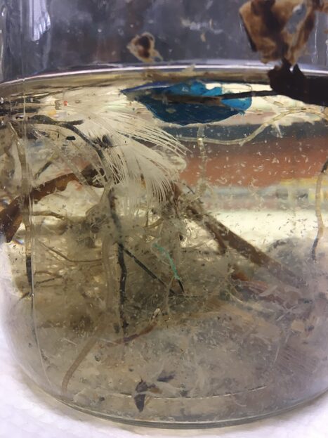 Managing microplastics across the watershed: How water providers are responding to another ‘emerging’ contaminant | Industry 411 - Waste Management | Scoop.it