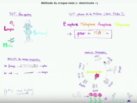 Comment partager le&nbsp;savoir &agrave;&nbsp;l&rsquo;&egrave;re du&nbsp;num&eacute;rique&nbsp;? | Infos docs Canop&eacute; de l'acad&eacute;mie d'Orl&eacute;ans-Tours | Notebook or My Personal Learning Network | Scoop.it