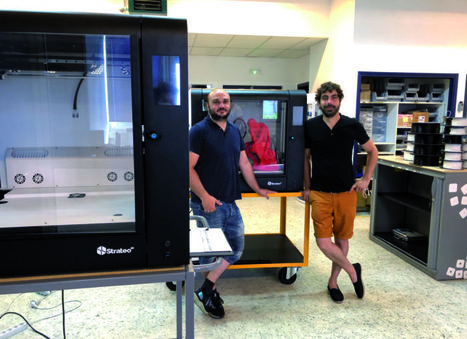 [INP-Cirimat] La 3D française avance ses pions en Europe | InMédias | Scoop.it