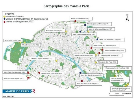 Dossiers de biodiversité - Biodiversité à Paris - La flore cachée | The Architecture of the City | Scoop.it