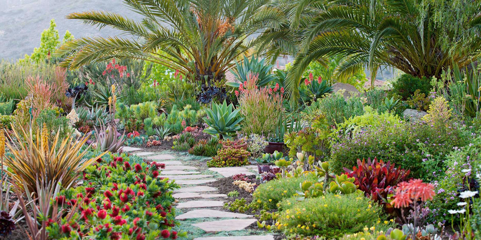 Best Plants for Landscape Edging Best Backyar...