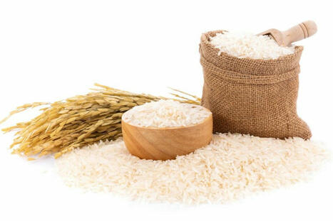 Tariffs could reshape rice market, prices | World Grain | MED-Amin network | Scoop.it