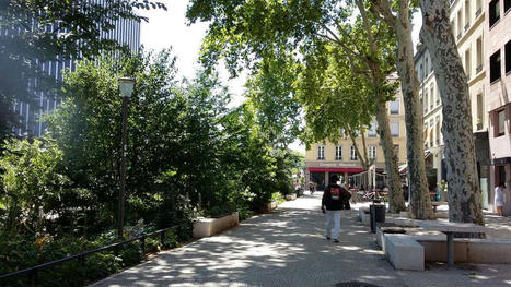 Choisir les arbres adaptés au climat d'aujourd'hui et de demain : Plusieurs territoires se tournent vers l'outil Sésame | Les Colocs du jardin | Scoop.it