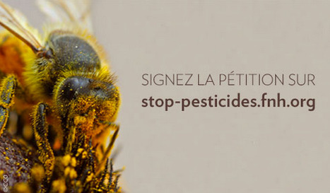 Pour l'interdiction des pesticides néonicotinoïdes ! | Variétés entomologiques | Scoop.it