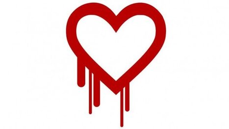 Qu&eacute; contrase&ntilde;as debes cambiar para evitar Heartbleed | Google, Internet, Aplicaciones | New Jobs | Scoop.it