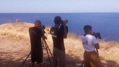 Les services de l'OFB contrôlent les activités de whale watching en Martinique | Biodiversité | Scoop.it