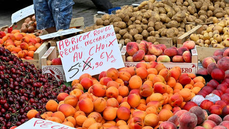 Les traces de pesticides sur les fruits sont en forte hausse dans l’Union européenne | Toxique, soyons vigilant ! | Scoop.it