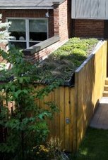 [végétalisation] Des toits verts partout | Build Green, pour un habitat écologique | Scoop.it