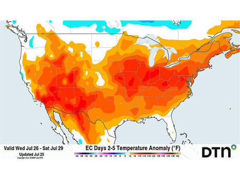 How Extreme Heat Can Affect Corn Yield | Science News | Scoop.it
