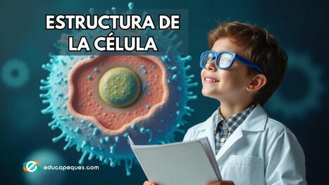 La estructura de la célula: Todo lo que necesitas saber | Recull diari | Scoop.it