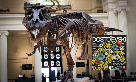 Gus, le T-Rex &agrave; 50 millions de dollars : o&ugrave; s&rsquo;arr&ecirc;tent les limites de la propri&eacute;t&eacute; priv&eacute;e ? | La Biblioth&egrave;que de l'&Eacute;cole nationale des chartes-PSL vous accompagne dans la pr&eacute;paration aux concours | Scoop.it