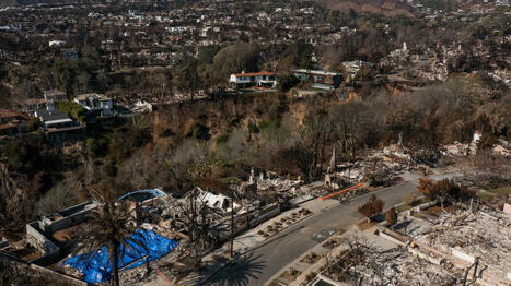 Comment Los Angeles va utiliser l'intelligence artificielle pour se reconstruire après les incendies dévastateurs  | Immobilier | Scoop.it