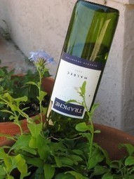 The next time you empty a bottle of wine . . . | Upcycled Garden Style | Scoop.it