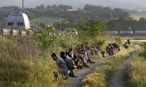 Greece to set up island screening centres to ease refugee crisis | Peer2Politics | Scoop.it