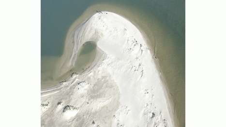 La Camargue entre ciel et mer | Camargue Nature | Scoop.it